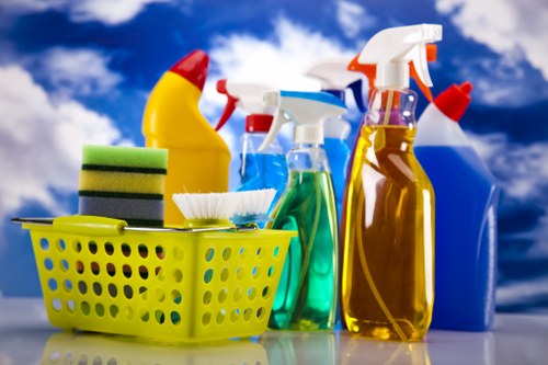 Accessible cleaning service webpage with clear structure and emphasis