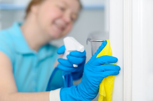 Specialist carpet, sofa and oven cleaning