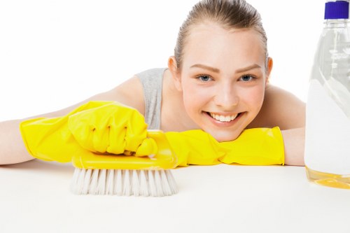 Residential hard floor cleaning and restoration in Brent