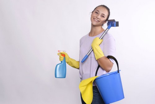Brent cleaner working in a modern interior with careful attention to detail