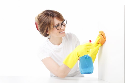 Specialist rug cleaning process in Brent