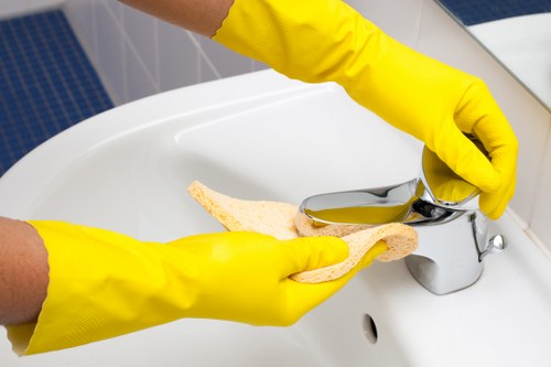 Brent cleaner usage in maintenance and surface care settings